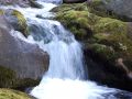 DSC 0341